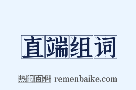 直端组词是什么意思的图片